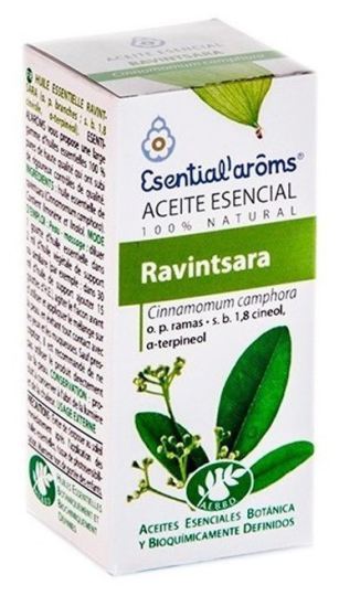 Ravensara essence 5 ml Ravensara essence 5 ml