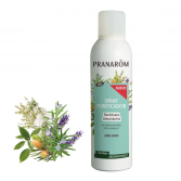 Purifying Spray Ravintsara Eucalyptus Bio eco Purifying Spray Ravintsara Eucalyptus Bio eco