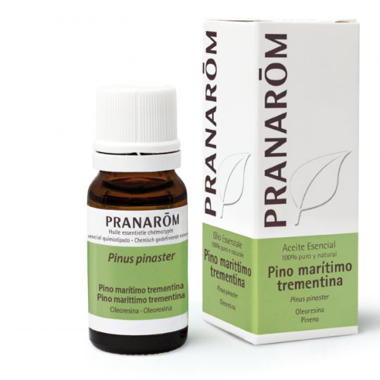 Marine Pine Oleoresin Bio 10 ml Marine Pine Oleoresin Bio 10 ml