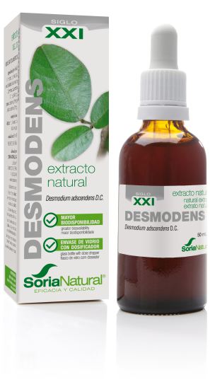 Extract from Desmodens Siglo XXI Extract from Desmodens Siglo XXI