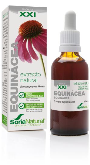 Echinacea Extract Echinacea Extract