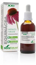 Echinacea Extract Echinacea Extract