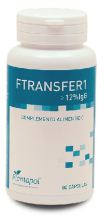Transfers 1 F 80Cap. Transfers 1 F 80Cap.