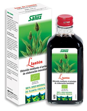 Plantain Juice 200Ml. Schoenenberger Plantain Juice 200Ml. Schoenenberger
