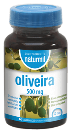 Olive tree 60 Comp Olive tree 60 Comp