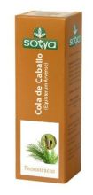 Horsetail Extract 60 ml Horsetail Extract 60 ml