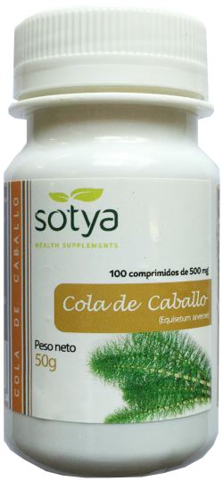 Horsetail 100 Tablets Horsetail 100 Tablets