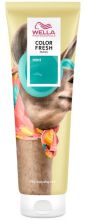 Color Fresh Mask Temporary 150 ml Color Fresh Mask Temporary 150 ml