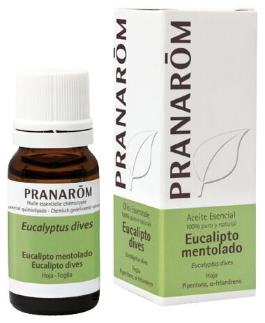 Eucalyptus Menthol Essential Oil 10 ml Eucalyptus Menthol Essential Oil 10 ml