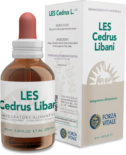 Cedrus Libani Lebanon Cedar 50 ml Cedrus Libani Lebanon Cedar 50 ml