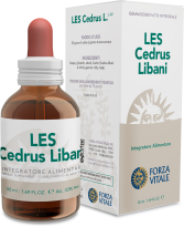 Cedrus Libani Lebanon Cedar 50 ml Cedrus Libani Lebanon Cedar 50 ml