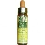 Wild Rose Plantis No. 37 10 ml Wild Rose Plantis No. 37 10 ml