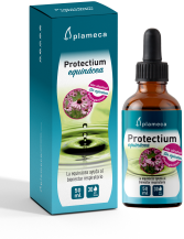 Protectium equinácea 50 ml Protectium equinácea 50 ml