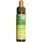 Mustard plantis nº 21 10 ml Mustard plantis nº 21 10 ml